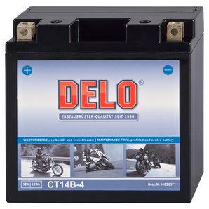 DELO Mikrovlies-Batterie befüllt und verschlossen Delo Motorrad